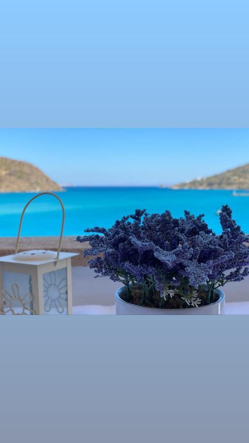 Petridi Maria Suites & Apartments Skála Dış mekan fotoğraf